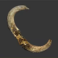 Crescent Shaped Animal Horn With Amber Crystals And Natural Texture On Dark Background