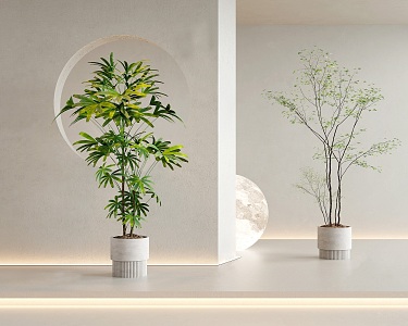 green plant potted plant 3d model