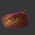 Manta Ray Batfish Aoate Fish Cartoon Aoate Fish Animation Aoate Fish Aoate Fish Expression Package Animation Character 3d model