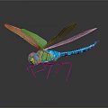 Colorful Dragonfly With Green Blue Body And Transparent Wings On Dark Background With Reflection