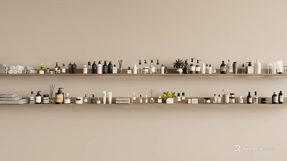 Decorative Ornament Arrangement on Two Shelves with Bottles Jars and Small Plants 3d model 