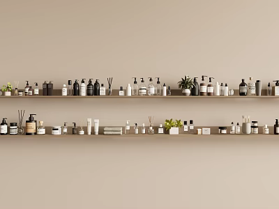 Decorative Ornament Arrangement on Two Shelves with Bottles Jars and Small Plants 3d model