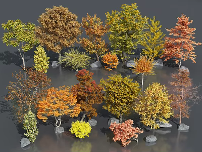 Various Colored Arbor Trees With Different Shapes Surrounded By Stones In Natural Scene 3d model