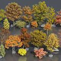 Various Colored Arbor Trees With Different Shapes Surrounded By Stones In Natural Scene