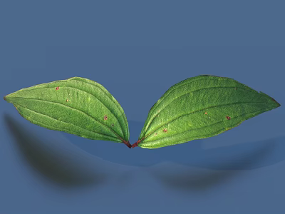 Two Symmetrical Green Leaves With Red Stem Connection Against Blue Background And Vibrant Veins 3d model