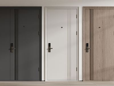 Modern security door entry door model