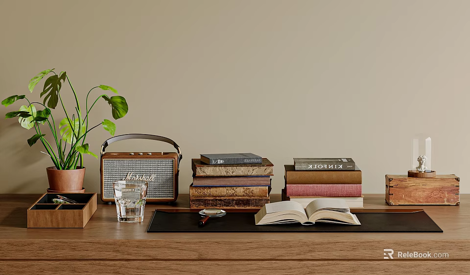 Tabletop Decorative Accessories Set with Potted Plant Radio Stacked Books Open Book and Glass 3d model 
