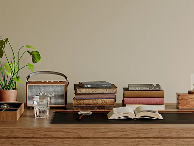 Tabletop Decorative Accessories Set with Potted Plant Radio Stacked Books Open Book and Glass 3d model