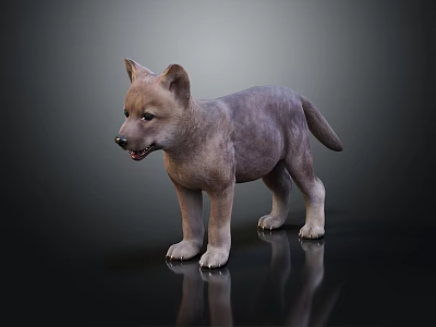 Curious Gray Puppy Standing On Black Reflective Surface With Alert Expression 3d model