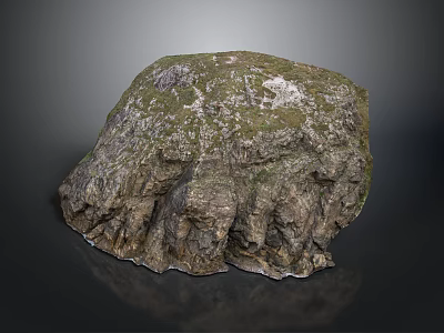 Natural Rock With Rough Textured Surface And Mossy Vegetation Cover 3d model