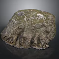 Natural Rock With Rough Textured Surface And Mossy Vegetation Cover