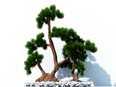 Pine Tree with Green Needles and Brown Trunk Surrounded by White Stones 3d model