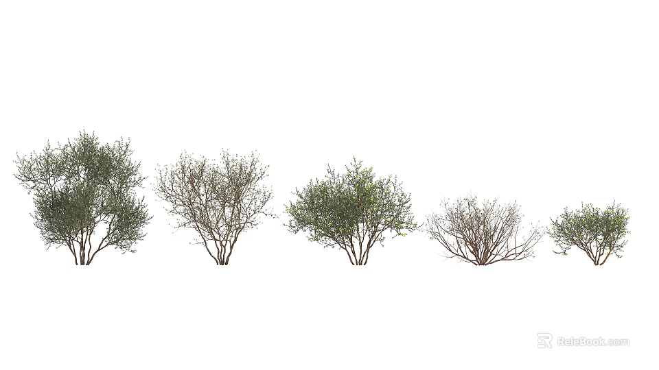 Various Types of Arbor Trees with Different Foliage and Branch Structures Arranged in a Row 3d model 