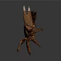 Brown Crab With Yellow Spots And Large Claws Isolated On Dark Background