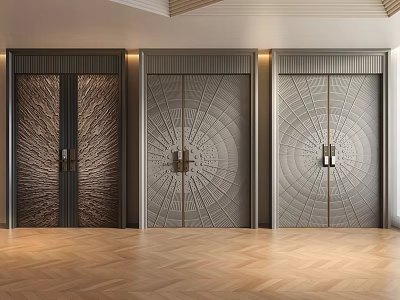 Modern Security Doors With Textured Patterns Dark And Light Metal Finishes 3d model