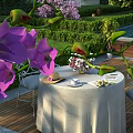Patio Garden With Purple Orchids Table Chairs Tea Cup Hat Lush Lawn And Green Hedges