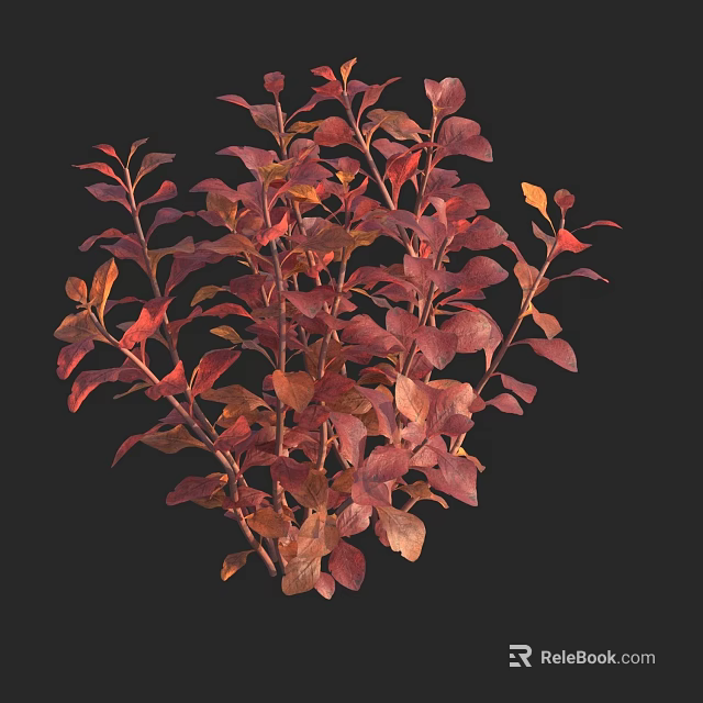 Vibrant Aquatic Plants With Red Orange Leaves And Lush Foliage 3d model 