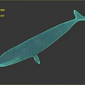 Blue Whale 3D Model Displayed Against Gradient Gray Black Background 3d model