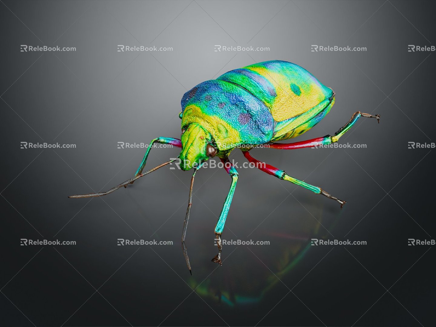 Modern Beetle Beetle Scarab Insect 3d model