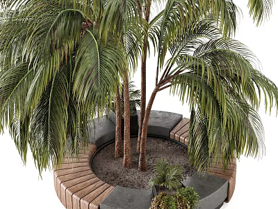 Modern Tree Pit Design With Palm Trees Wooden Border And Stone Benches Small Plants 3d model