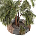 Modern Tree Pit Design With Palm Trees Wooden Border And Stone Benches Small Plants