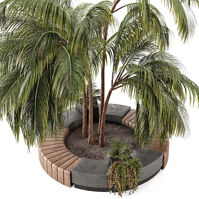 Modern Tree Pit Design With Palm Trees Wooden Border And Stone Benches Small Plants 3d model
