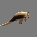 Realistic Reptile 3D Model With Long Snout And Brown White Body Features