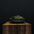 Natural Moss Decorative Bowl with Stones Placed on Wooden Stump