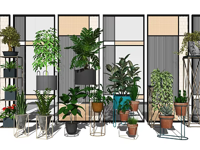 Variety of Bonsai Potted Plants with Different Types and Decorative Metal Shelves 3d model