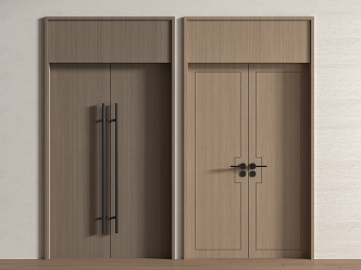 Modern double door 3d model