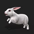 White Rabbit 3D Model With Pink Ears Red Eyes In Jumping Pose On Black Background
