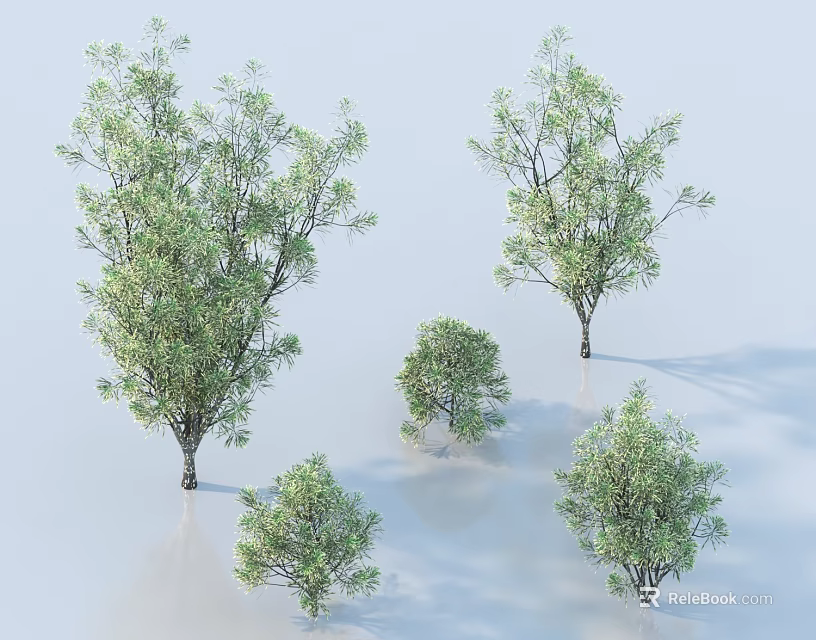 Trees With Lush Green Leaves Various Sizes Isolated On White Background 3d model