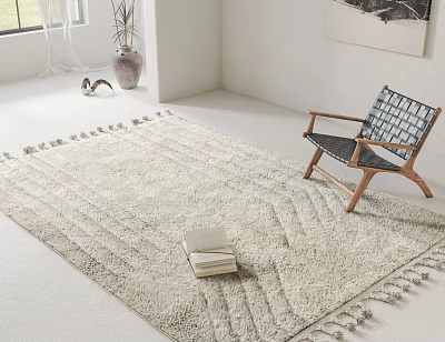 Neutral Beige Square Area Rug Soft Textured Tassel Trim With Books Near Wooden Chair 3d model