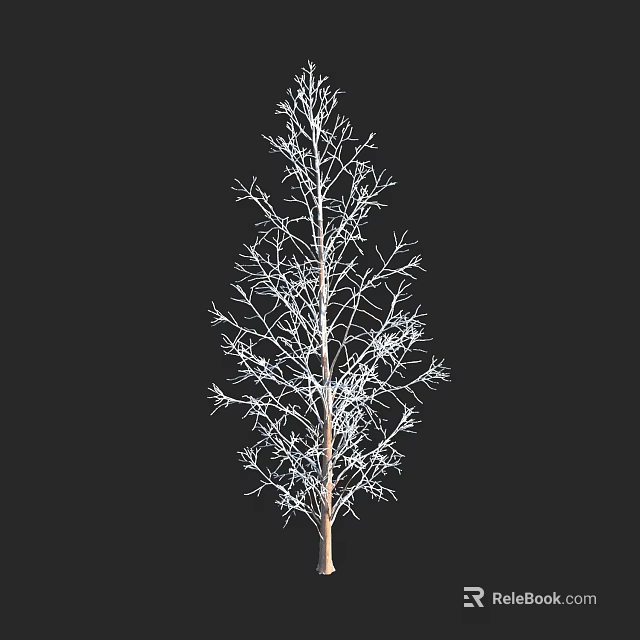 Single Tall Arbor With Bare Branches Isolated On Black Background 3d model