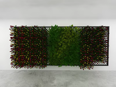 Hanging Basket Plants on Indoor Wall with Black Frame and Colorful Green Red Leaves 3d model