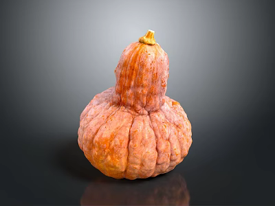 Fresh Ripe Orange Pumpkin With Unique Bulbous Shape And Textured Skin For Cooking 3d model