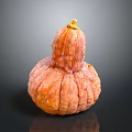 Fresh Ripe Orange Pumpkin With Unique Bulbous Shape And Textured Skin For Cooking