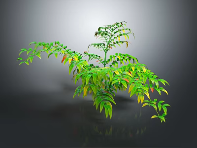 3D Rendered Lush Green Plant With Yellow Red Edges Slender Stems Grey Background Reflection 3d model
