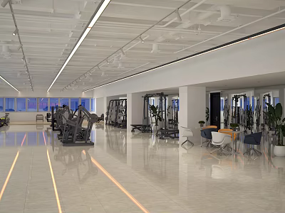 Modern Fitness Gym Workout Space With Various Training Equipment And Spacious Area 3d model