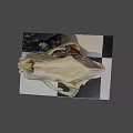 Animal skull display on black and white checkered platform with natural elements background