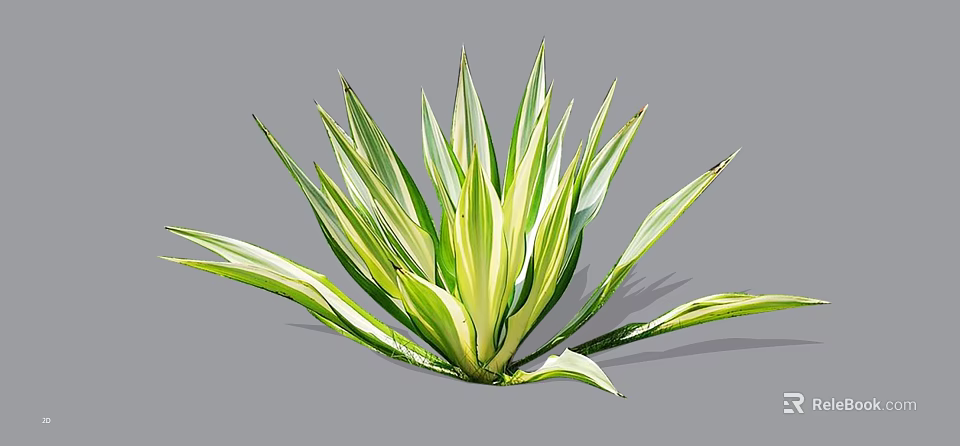 Green and White Striped Shrub with Radiant Variegated Leaves for Garden Decoration 3d model 