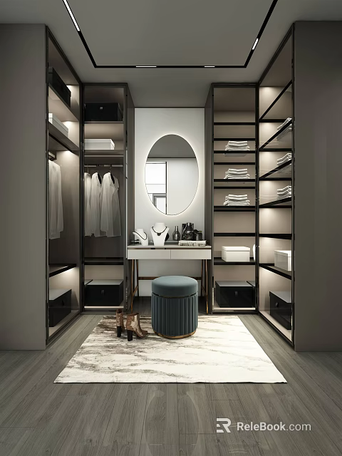 Modern Walk in Closet Interior Design With Oval Mirror Hanging Rods And Storage Drawers 3d model 