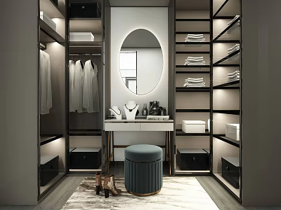 Modern Walk in Closet Interior Design With Oval Mirror Hanging Rods And Storage Drawers 3d model