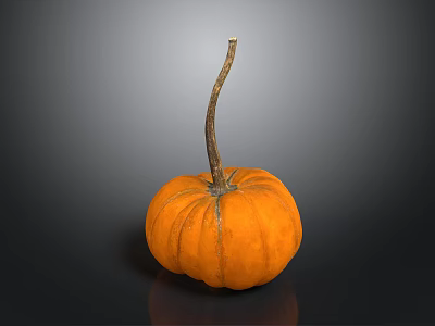 Fresh Ripe Orange Pumpkin With Long Stem As Healthy Food Ingredient 3d model