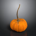 Fresh Ripe Orange Pumpkin With Long Stem As Healthy Food Ingredient