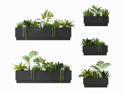 Wall Mounted Bonsai Potted Plants With Black Planters And Various Green Foliage 3d model