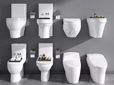 Various Modern Toilet Designs Including Wall Mounted And Floor Standing Styles 3d model