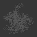 Isolated Leafless Tree with White Frost Covered Branches Against Black Background