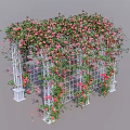 Beautiful Pergola Covered With Lush Green Vines And Pink Flowers