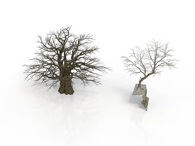 Large And Small Leafless Trees With Thick Trunk And Thin Branches Isolated On White Background 3d model